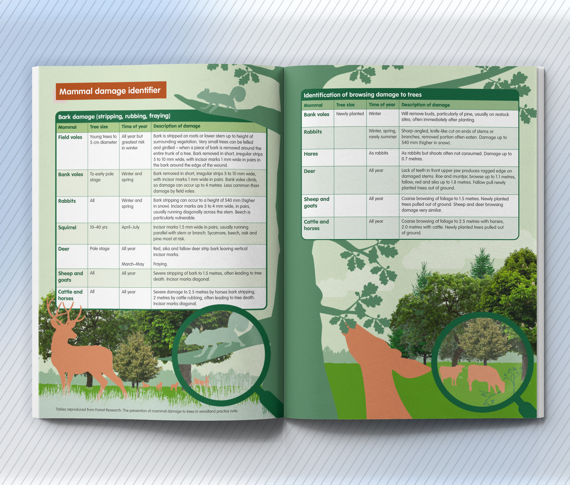 Forestry Commission Squirrel and Deer Guide