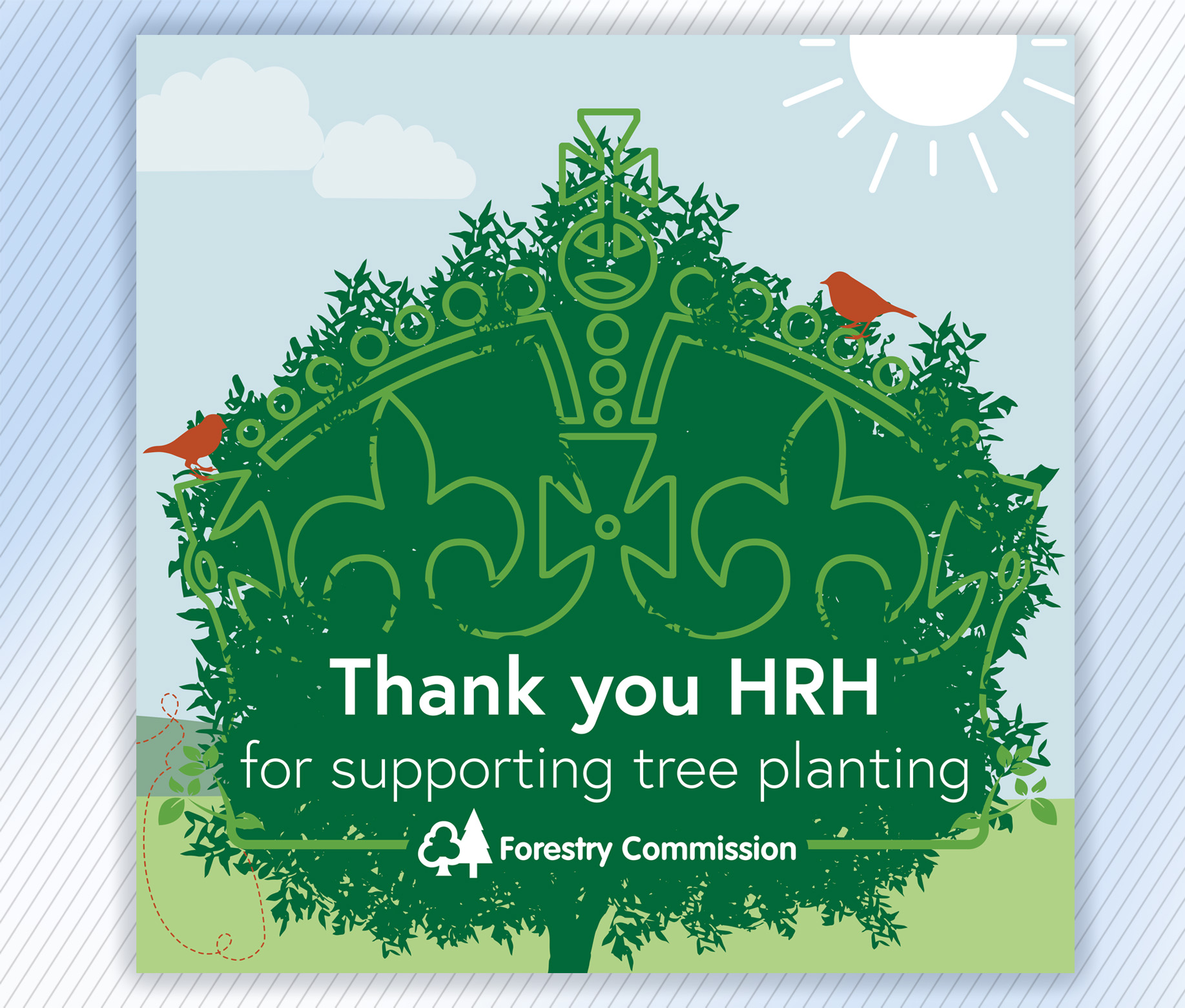 Forestry Commission The King's Coronation illustrated carousel graphics